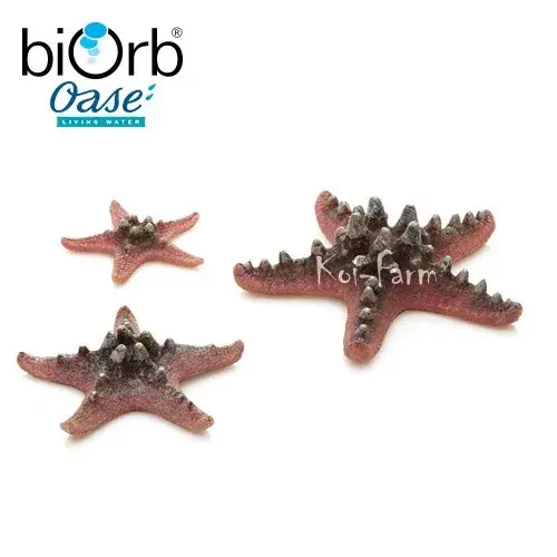 Op = Op tengeri csillag dekoráció 3 db pink biorb