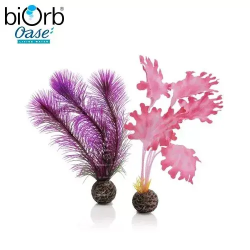 tengeri hínár dekoráció pink kicsi 2 db biorb Gecertificeerd