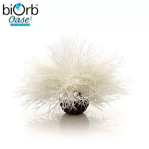 Meest Verkocht tengeri liliom dekoráció fehér 11 cm biorb