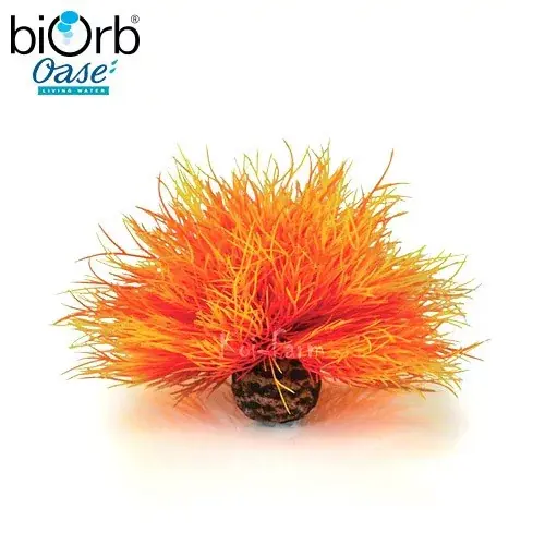 Korting tengeri liliom dekoráció narancsvörös 11 cm biorb