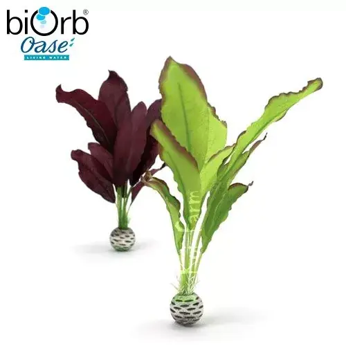 Speciale Aanbieding vízinövény dekoráció zöld lila közepes biorb
