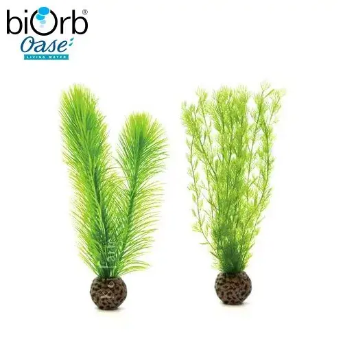 zöld páfrány dekoráció 2 db 20 5 cm biorb Voordeelprijs
