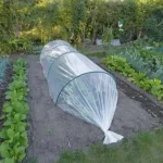 Alleen Vandaag nature cover uv ellenálló fólia 2x5 m nature