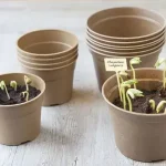 Beste Prijs bio cserepek 15x16 cm 3 db nature