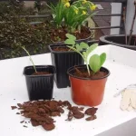 Betrouwbaar műanyag cserepek 6x7x7 cm 20 db os szett nature