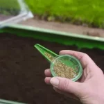 Actieprijs vetőmagszóró doboz nature