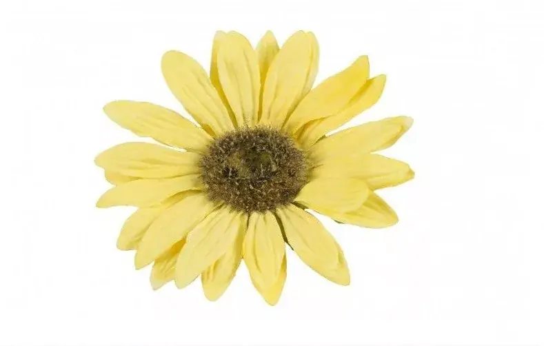dekor napraforgó 11 cm sárga velda Superprijs
