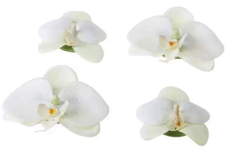 dekor orchidea 7 9 cm fehér velda Koop Online