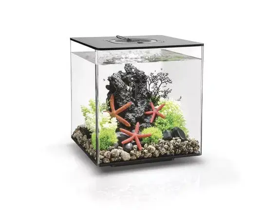 Must-Have biorb cube 30 led akvárium fekete