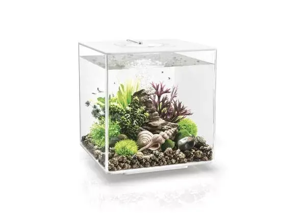 biorb cube 30 led fehér Finale Uitverkoop