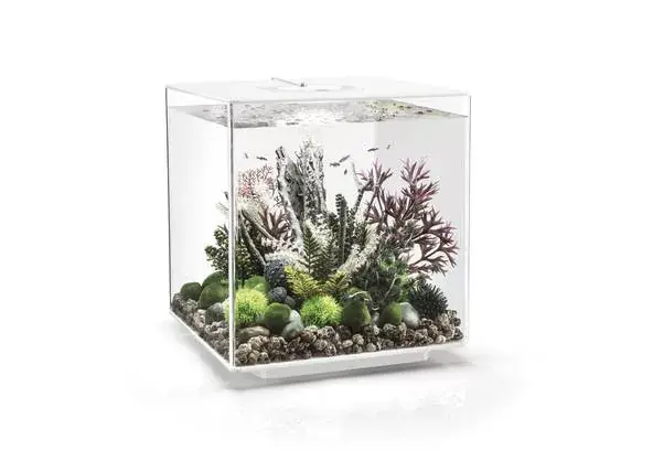 biorb cube 60 led fehér akvárium Gereduceerde Prijs
