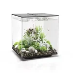 biorb cube 60 led fekete akvárium Betaalbaar