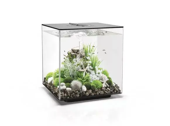 biorb cube 60 led fekete akvárium Betaalbaar