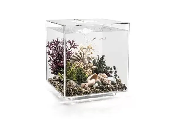 biorb cube 60 mcr átlátszó akvárium Koop Vandaag