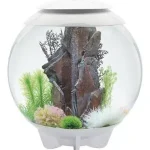 Aanbieding biorb halo 60 mcr fehér akvárium
