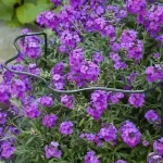 Speciale Aanbieding galvanizált ívelt növénytámasz 80x40x22cm nature