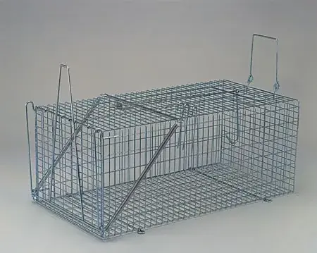 Nieuw élvefogó csapda 61 cm s113
