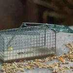 hagyományos élvefogó egércsapda csapóajtóval Must-Have